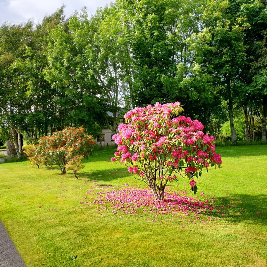 Hotel Bogenraith House Banchory Exterior foto